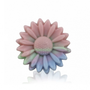 Kraal Daisy Regenboog 22mm