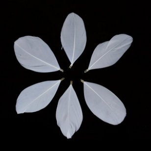 Bedel Gans Wit Veer 8.5cm