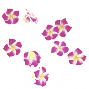 Kraal Hawaii Hardroze 15mm