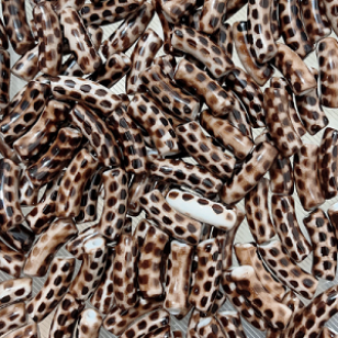 Kraal Buis Acryl Leopard 35mm