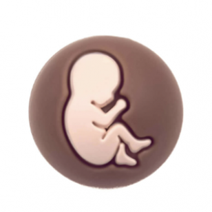 Kraal Baby Brownie 20mm