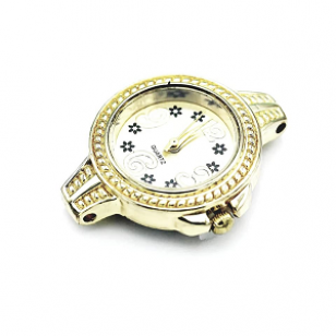 Horloge Kast 35x28mm Goud