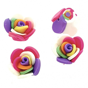 Roos Kraal Fimo Regenboog