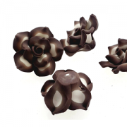 Kraal Roos Fimo Bruin Wit 25mm