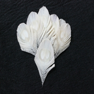 Veer Pauw wit 12cm