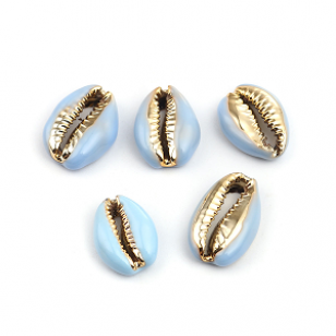 Kauri Schelp Blauw/Goud