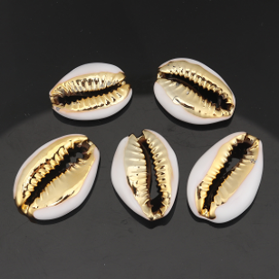 Kauri Schelp Goud/Wit 