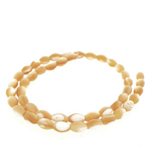 Kralen Trochus Schelp 9x6mm 45x