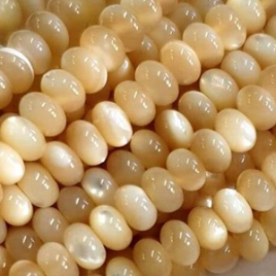 Kralen Trochus Rondelle 6x4mm