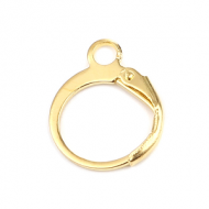 Oorbellen Goldplated 15x12mm