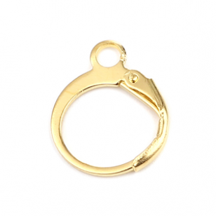 Oorbellen Goldplated 15x12mm