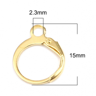 Oorbellen Goldplated 15x12mm