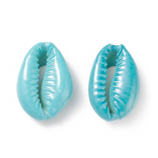 Schelp Kauri Turqouise 