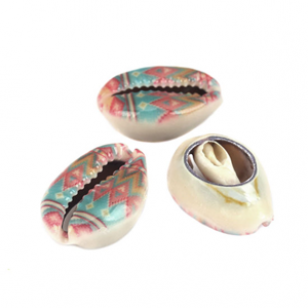 Schelp Kauri Indian Summer