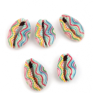 Schelp Kraal Kauri #25