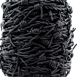 Leer Prikkeldraad zwart 20cm