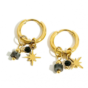 Oorbellen Huggie Rvs ster