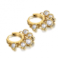 Oorbellen Hoop Zirkonia Goud