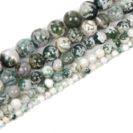 Kralen Tree Agate 6mm