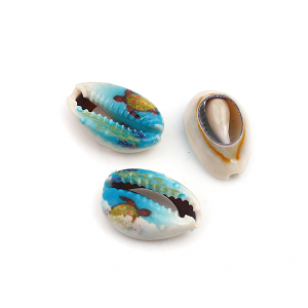 Schelp Kraal Kauri Schildpad