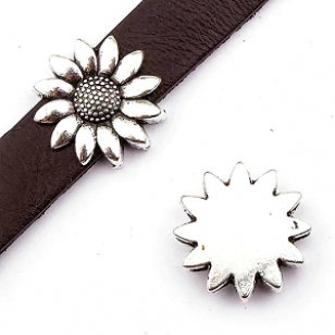 Schuifkraal Zonnebloem 