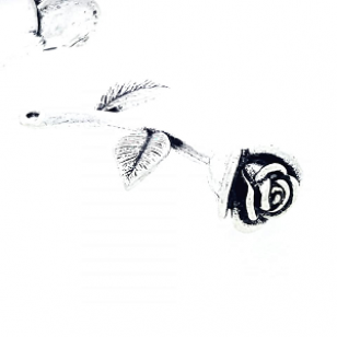 Bedel Roos 3D 41x25mm