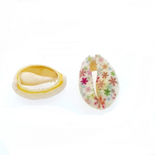 Schelp Kauri Bloem #2