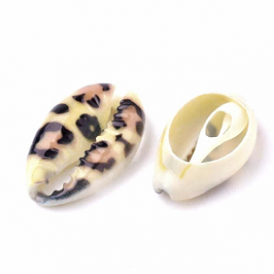 Schelp Kauri Tijger-print