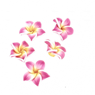 Kraal Fimo Hawaii 16mm Neon