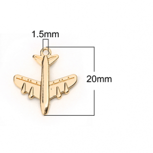 Bedel Goud Vliegtuin 22x20mm
