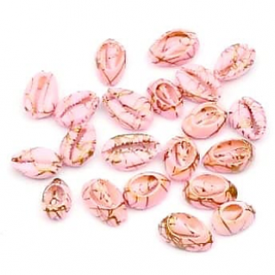 Schelp Kauri Goud Roze 