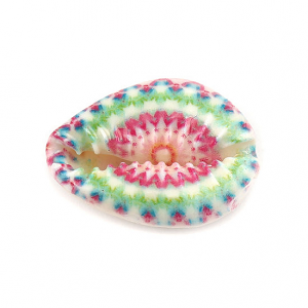 Schelp Kraal Kauri Roze