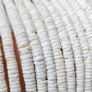 Kralen Schelp Naturel 5-6mm