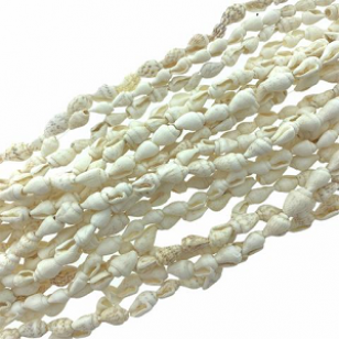 Trompet Schelpjes +/- 160 stuks 