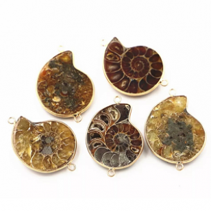 Tussenstuk Fossiel 35x40mm