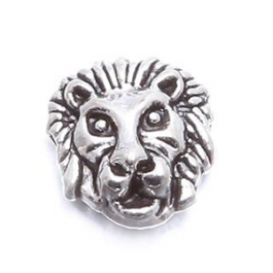 Kraal-Leeuw-Lion