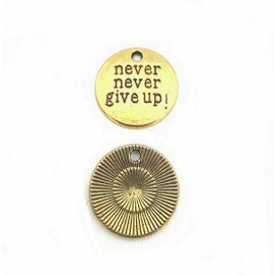Bedel goud Never give Up