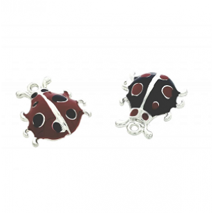 Bedel-Lieveheersbeestje