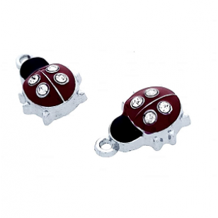 Bedel Lieveheersbeestje