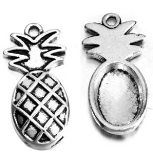 Bedel Ananas  13 stuks