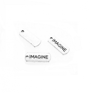 Bedel Tekst Imagine 21x8mm