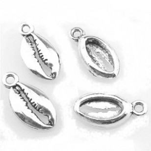 Bedel Schelp Kauri 17x8mm