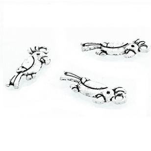 Bedel-Papagaai-20x8mm