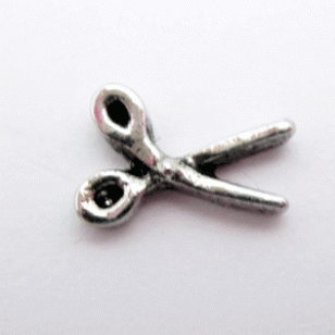 Schaar  - Lockets charms
