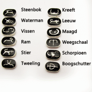 Floating Charm Zodiac