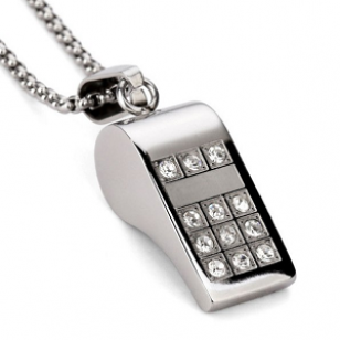 Ketting Fluit RVS Crystal