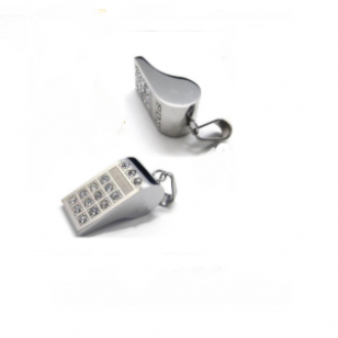 Ketting Fluit RVS Crystal