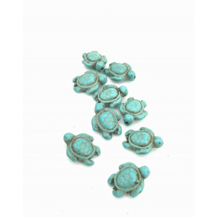 Kraal Howliet  Schildpad 