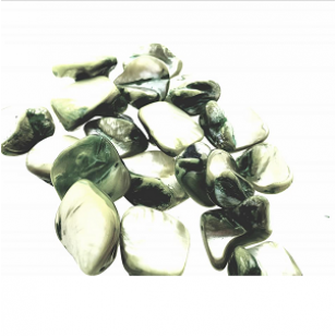 Schelp-Kralen-13-25mm-Groen