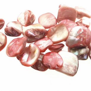Schelp-Kralen-13-25mm-Fuchsia